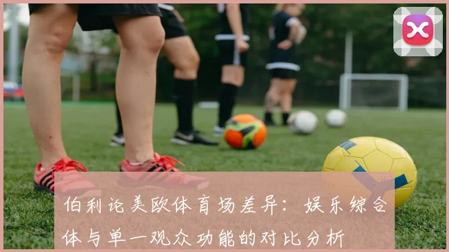 伯利论美欧体育场差异：娱乐综合体与单一观众功能的对比分析